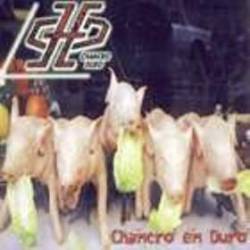 Chancro Duro : Chancro En Duro